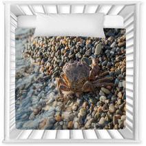 The Brown Crab Nursery Decor 100292242