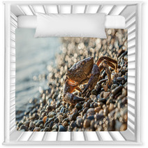 The Brown Crab Nursery Decor 100292255