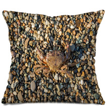 The Brown Crab Pillows 100292232