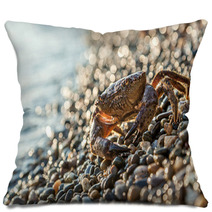 The Brown Crab Pillows 100292255
