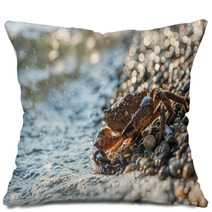 The Brown Crab Pillows 100292260