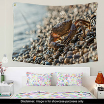 The Brown Crab Wall Art 100292255