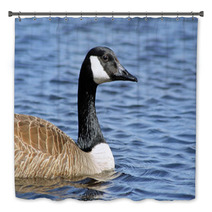 The Canada Goose Swimming On Calm Blue Waters
 Bath Decor 83380048