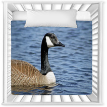 The Canada Goose Swimming On Calm Blue Waters
 Nursery Decor 83380048
