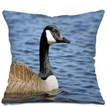 The Canada Goose Swimming On Calm Blue Waters
 Pillows 83380048