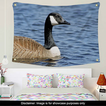 The Canada Goose Swimming On Calm Blue Waters
 Wall Art 83380048