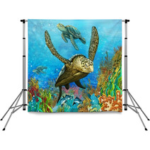 The Coral Reef Illustration For The Children Backdrops 51246970