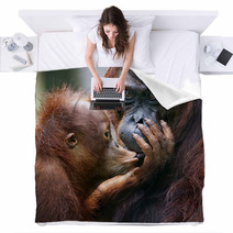 The Cub Of The Orangutan Kisses Mum. Blankets 60478455