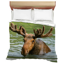 The Elk In Their Natural Habitat Bedding 58608544