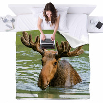 The Elk In Their Natural Habitat Blankets 58608544