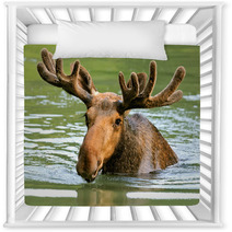 The Elk In Their Natural Habitat Nursery Decor 58608544