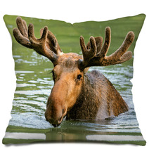 The Elk In Their Natural Habitat Pillows 58608544