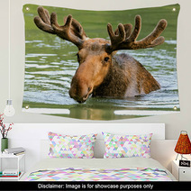 The Elk In Their Natural Habitat Wall Art 58608544