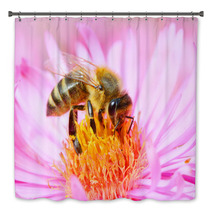 The European Honey Bee Pollinating Of The Aster. Bath Decor 70670515
