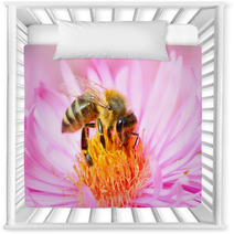 The European Honey Bee Pollinating Of The Aster. Nursery Decor 70670515