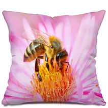 The European Honey Bee Pollinating Of The Aster. Pillows 70670515