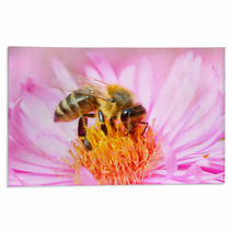 The European Honey Bee Pollinating Of The Aster. Rugs 70670515