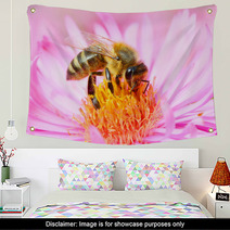 The European Honey Bee Pollinating Of The Aster. Wall Art 70670515