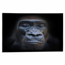 The Evil Eyes In The Night The Gorilla Portrait Rugs 54900385