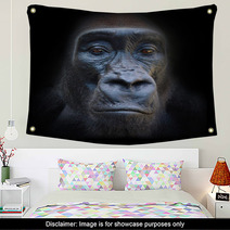 The Evil Eyes In The Night The Gorilla Portrait Wall Art 54900385