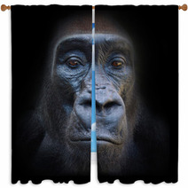 The Evil Eyes In The Night The Gorilla Portrait Window Curtains 54900385