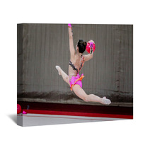 The Girl Gymnastics Is Back With Ball Wall Art 84025947