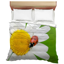 The Ladybird Creeps On A Camomile Flower Bedding 53069423