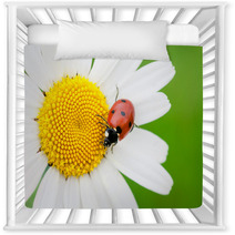 The Ladybird Creeps On A Camomile Flower Nursery Decor 53069423
