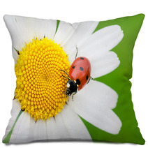 The Ladybird Creeps On A Camomile Flower Pillows 53069423