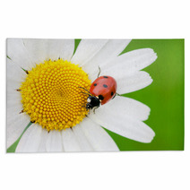 The Ladybird Creeps On A Camomile Flower Rugs 53069423