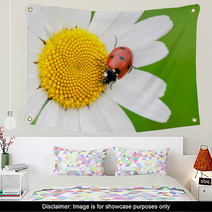 The Ladybird Creeps On A Camomile Flower Wall Art 53069423