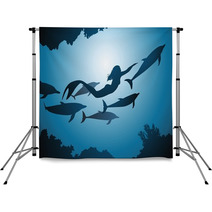 The Mermaid And Dolphins Backdrops 39743414