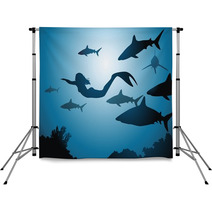 The Mermaid And Sharks Backdrops 39737260
