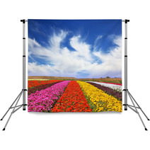The Multi-colored Flower Fields Backdrops 58023139