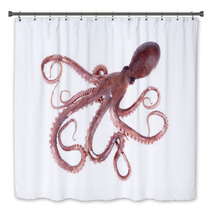 The Octopus Bath Decor 95681908