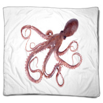 The Octopus Blankets 95681908