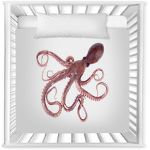 The Octopus Nursery Decor 95681908