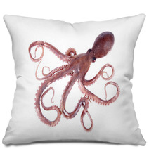 The Octopus Pillows 95681908