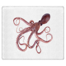The Octopus Rugs 95681908
