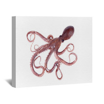 The Octopus Wall Art 95681908