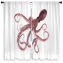 The Octopus Window Curtains 95681908
