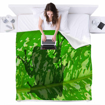 The Shadow Of Frog Blankets 21704433