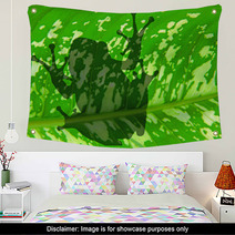 The Shadow Of Frog Wall Art 21704433