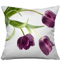 The Three Tulips Pillows 5977767