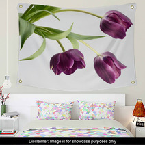 The Three Tulips Wall Art 5977767