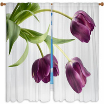 The Three Tulips Window Curtains 5977767