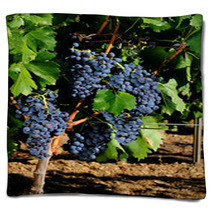 The Vine Blankets 72067445