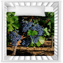 The Vine Nursery Decor 72067445