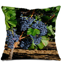 The Vine Pillows 72067445