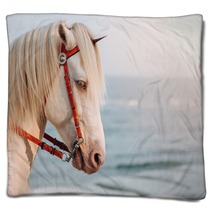 The White Horse Cosplay To Unicorn With Small Horn On The Head With Sea In Sunset As A Background Real Unicorn Head Shot Of Horse Blankets 250105688